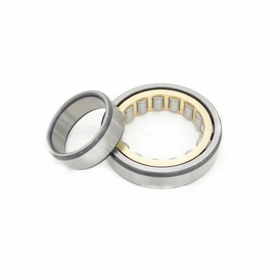 Cuscinetto dell'oscillazione dell'escavatore a rulli cilindrici NUP305 NUP306 NUP307 NUP308 NUP309